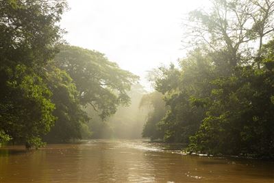 Rio Frio in Cano Negro